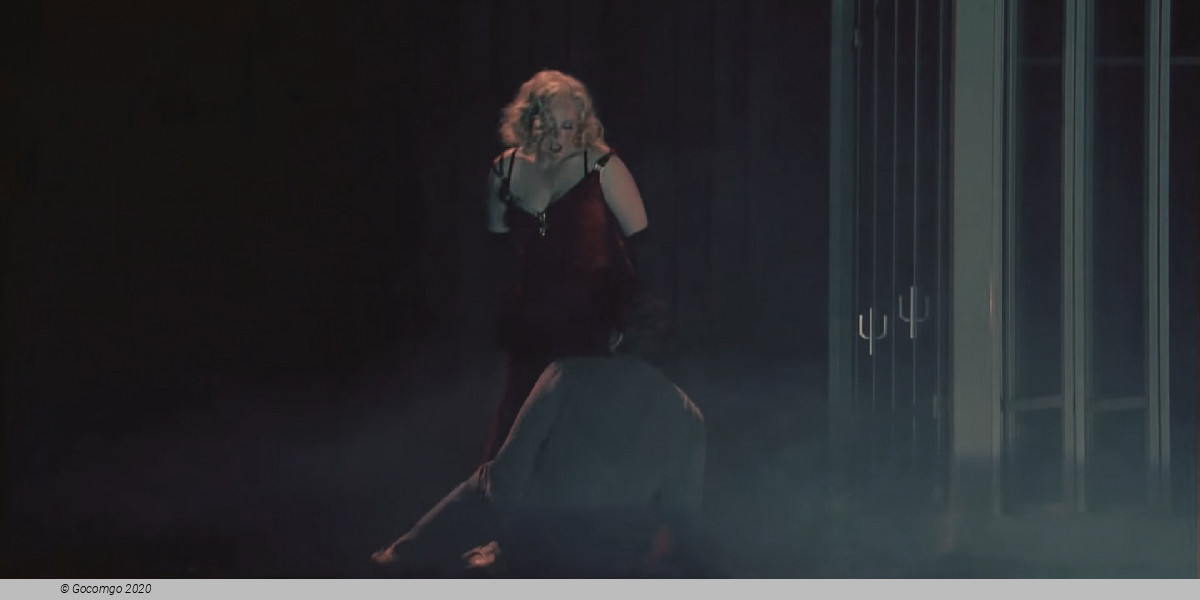 Scene 8 from the opera "Lady Macbeth of Mtsensk", photo 12