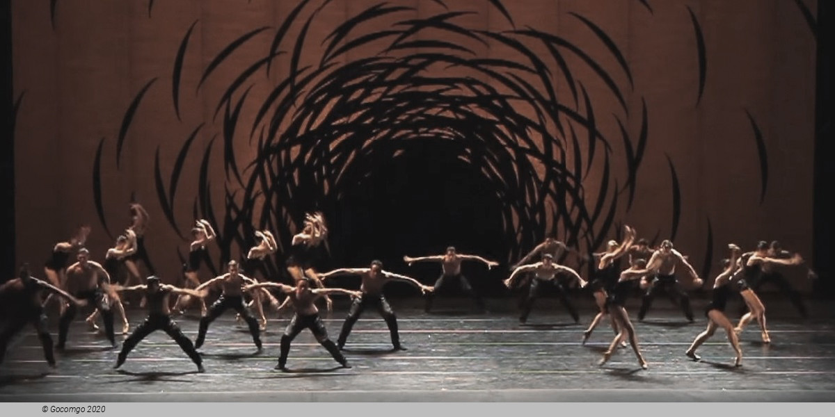 Scene 2 from the modern ballet "Emergence"