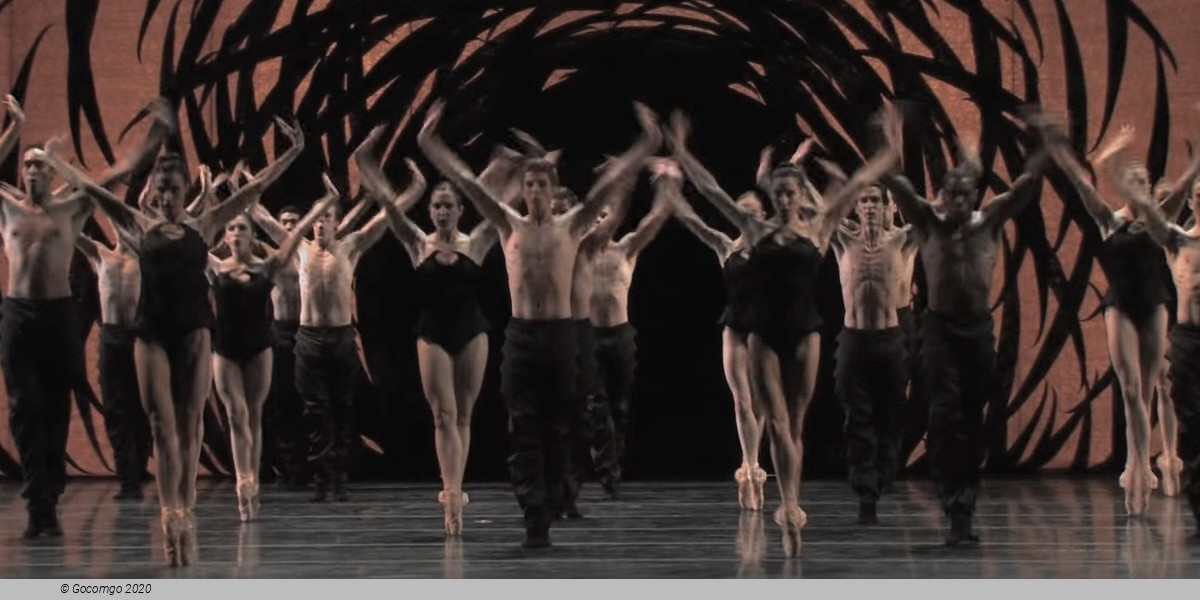 Scene 4 from the modern ballet "Emergence"