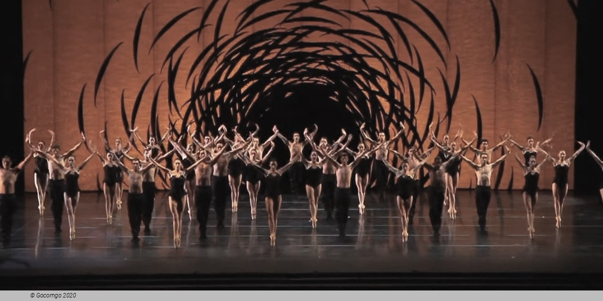 Scene 5 from the modern ballet "Emergence"