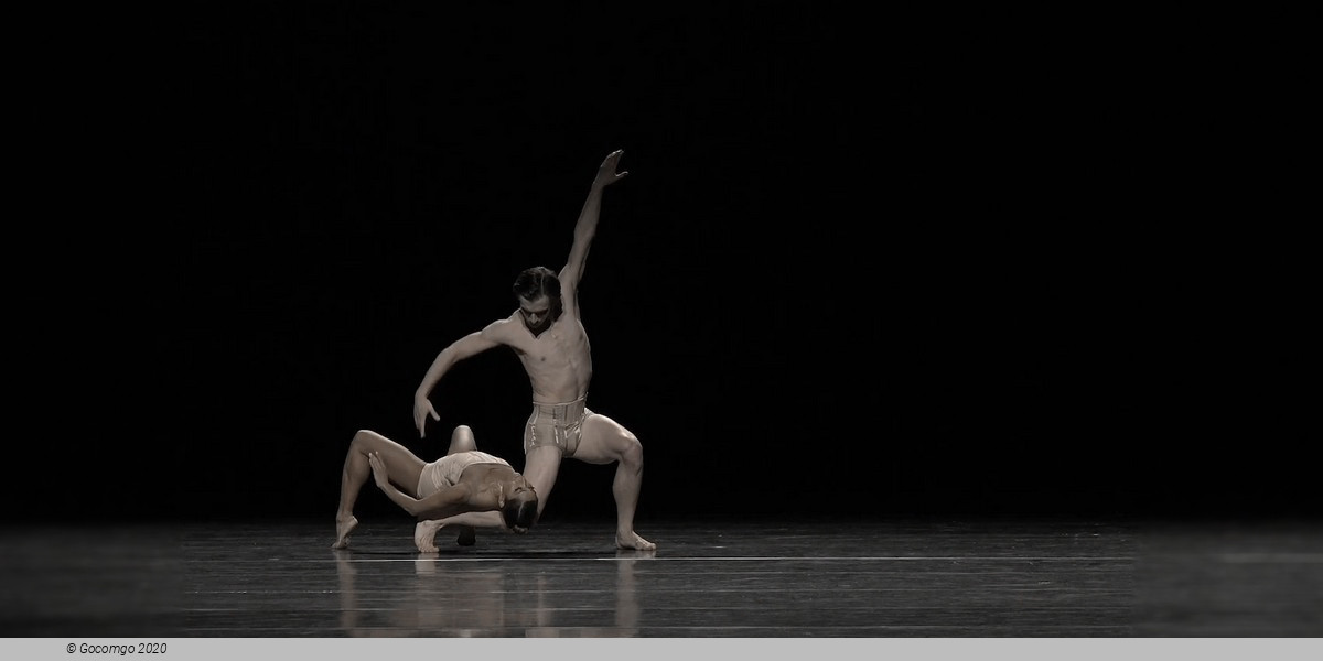 Scene 1 from the modern ballet "Petite Mort", photo 5