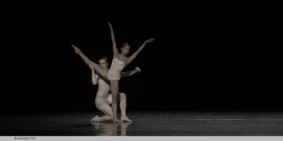 Scene 2 from the modern ballet "Petite Mort", photo 6