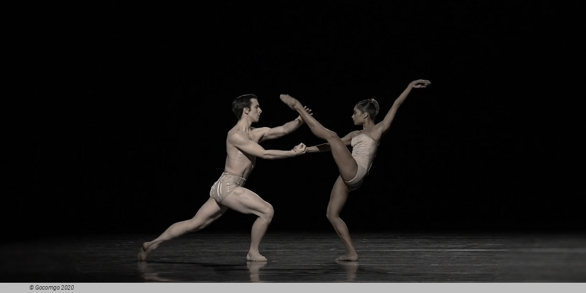 Scene 3 from the modern ballet "Petite Mort", photo 4