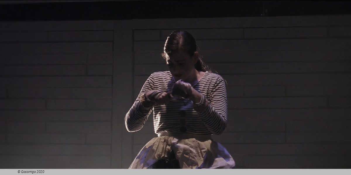 Pierrot lunaire, photo 3