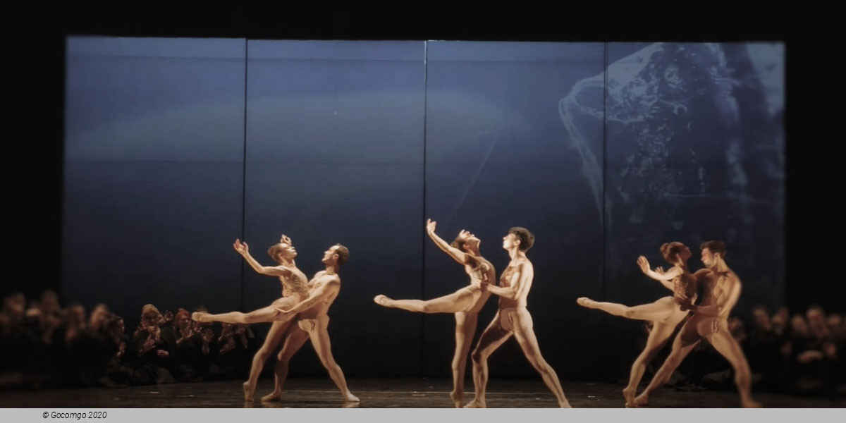 Carmina Burana, photo 1