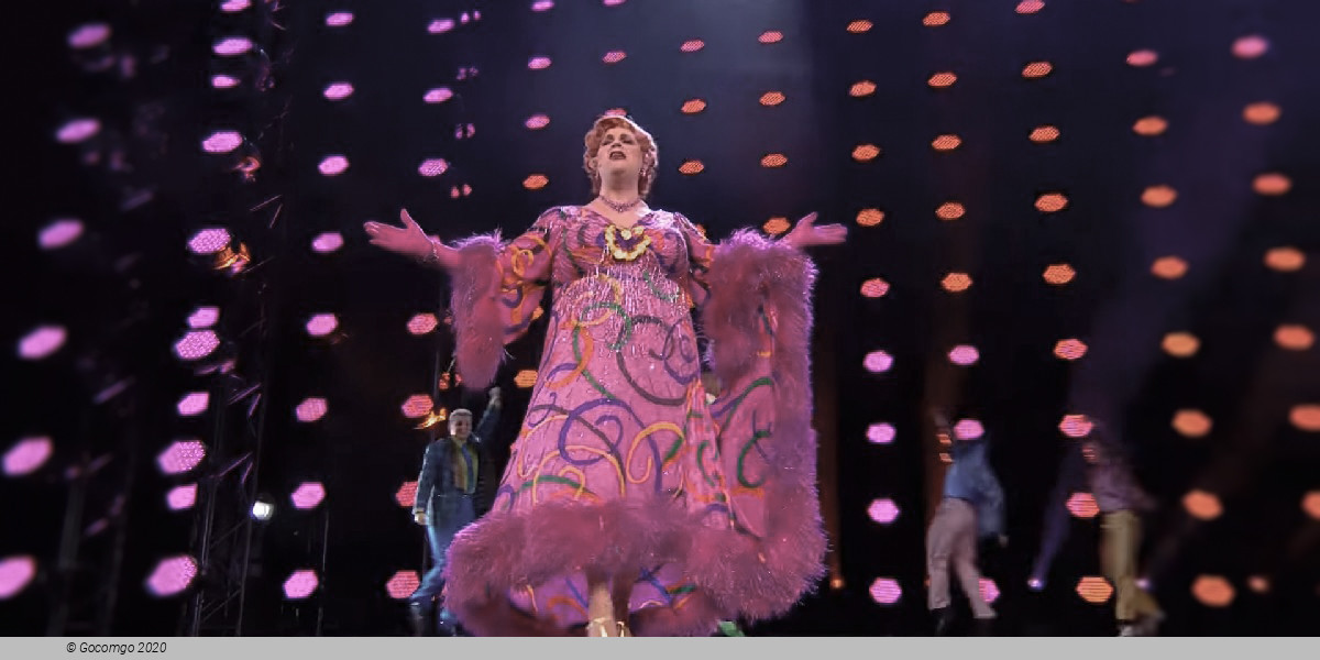 Scene 3 from the musical "Hairspray", photo 3