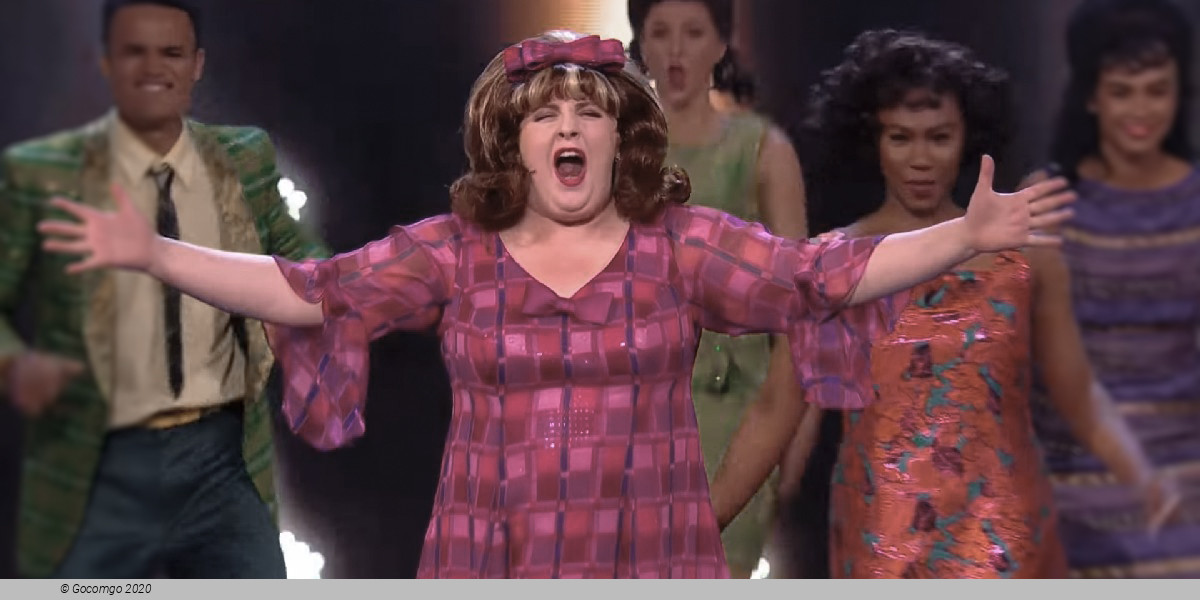 Scene 4 from the musical "Hairspray", photo 4