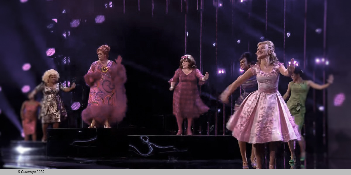 Scene 6 from the musical "Hairspray", photo 6