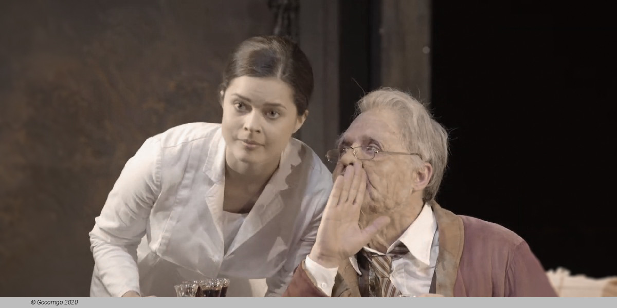 Scene 1 from the musical "Ewig Jung", photo 1