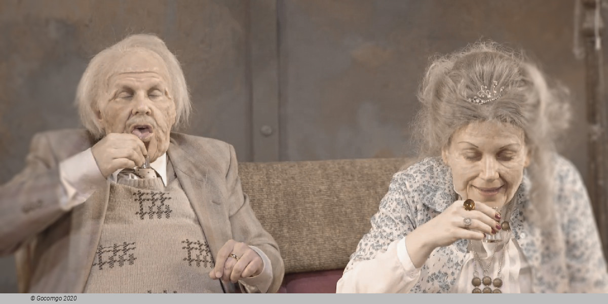 Scene 3 from the musical "Ewig Jung", photo 3