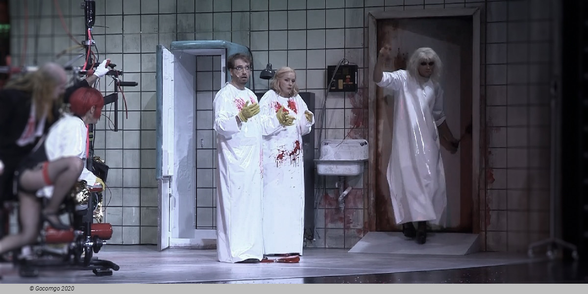 Scene 5 from the musical "The Rocky Horror Show", photo 5