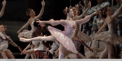 The Sleeping Beauty